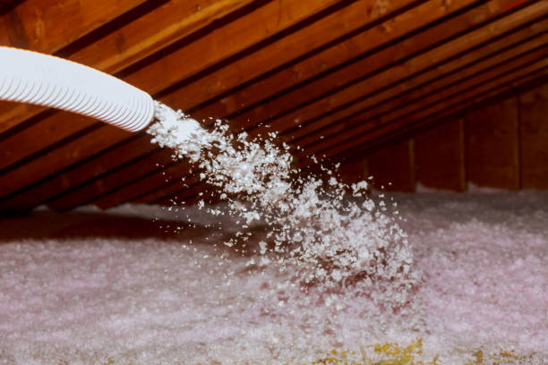Best Insulation Maintenance and Repair in Milan, MO