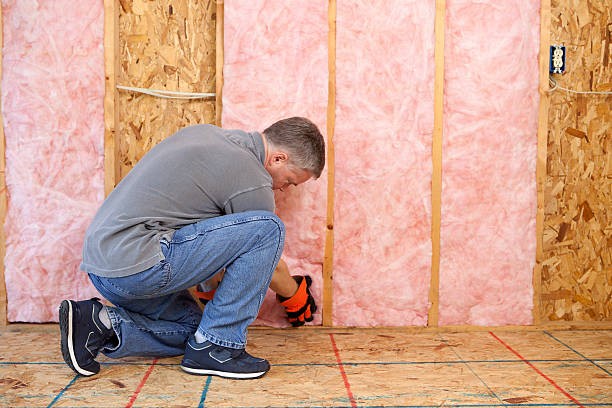 Best Geographic-Specific Insulation Services in Milan, MO