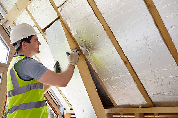 Best Residential Insulation in Milan, MO